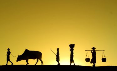 Silhouette of a rural family walking with cattle at sunset in Bagan, Myanmar cultural photography