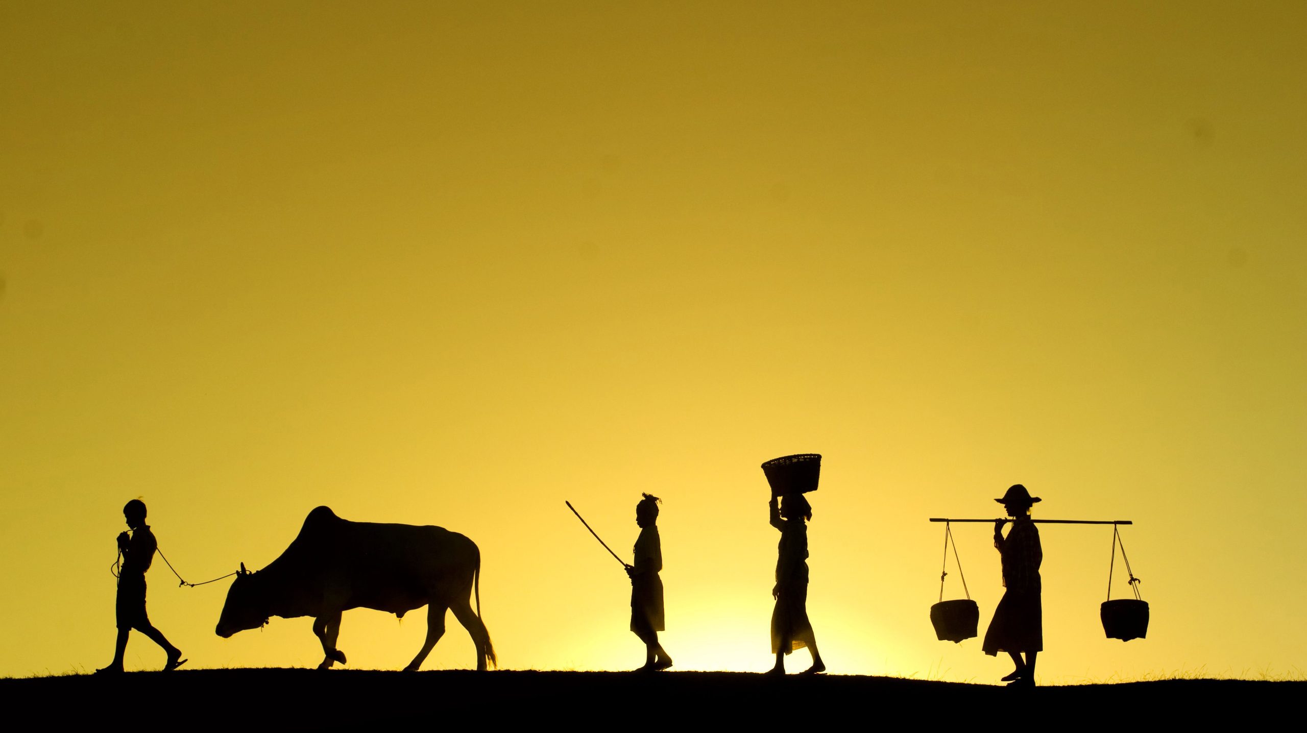 Silhouette of a rural family walking with cattle at sunset in Bagan, Myanmar cultural photography