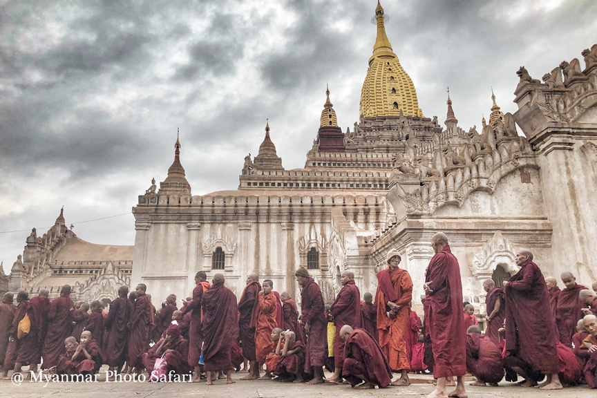 Hundreds of Buddhist monks in maroon robes gathered at a golden-domed pagoda in Bagan under a dramatic cloudy sky.