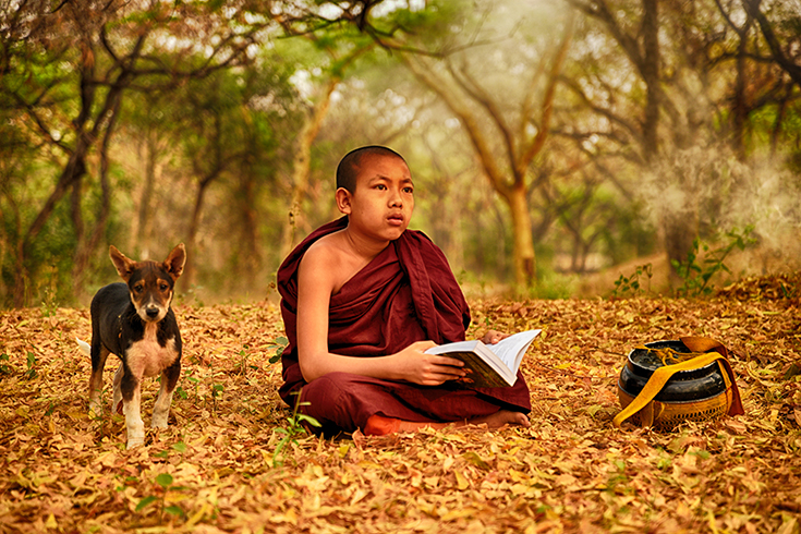 Young novice monk in maroon robes reading a book while seated on a bed of fallen leaves in a wooded area, with a dog standing beside him — Myanmar.