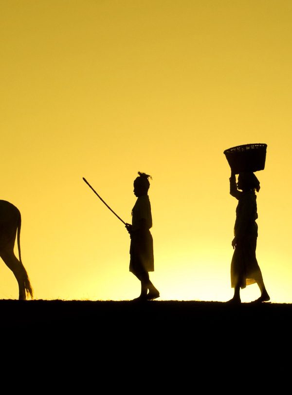 Silhouettes of villagers and an ox walking along a ridge at sunrise, carrying baskets and poles in rural Myanmar.